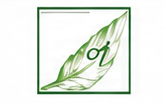 Klien JOE Consulting
